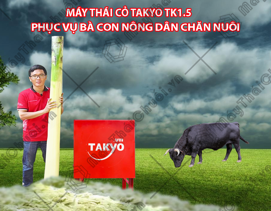 Máy thái chuối Takyo TK15 sử dụng nguồn điện gia đình 220v 