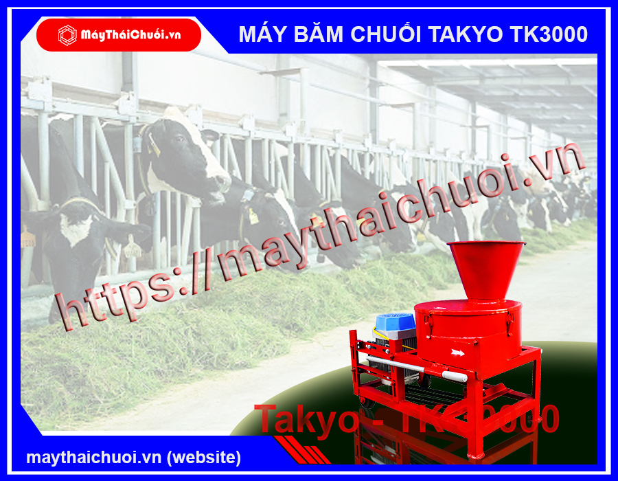 Máy băm chuối Takyo TK3000 chuyên dùng cho chăn nuôi trâu bò