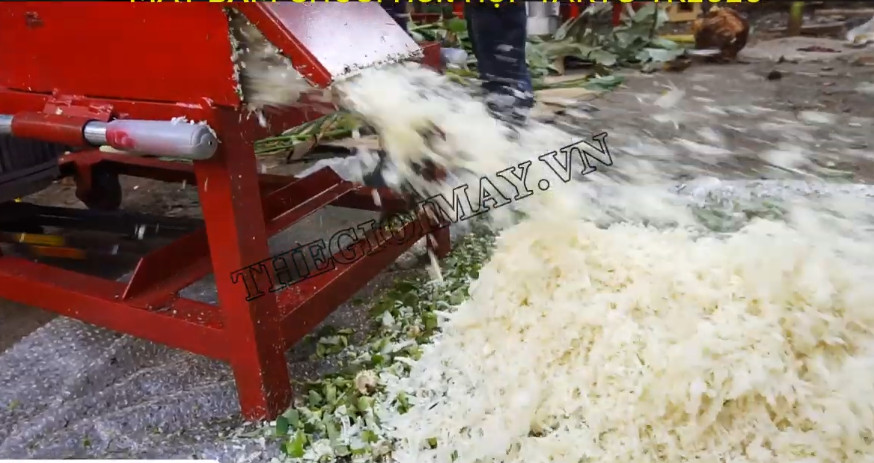 Công suất của máy băm chuối, thái chuối Takyo ở Cà Mau