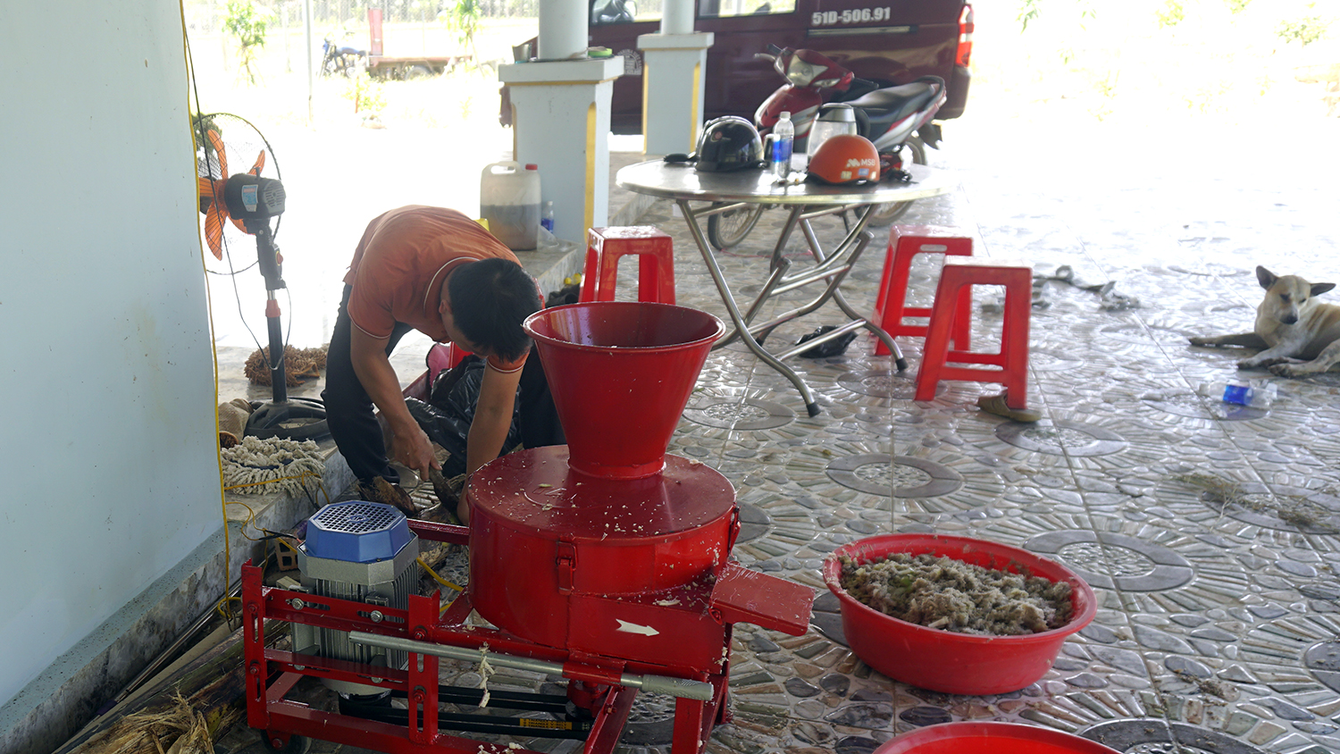 Giao máy băm chuối cho gà ở Tây Ninh