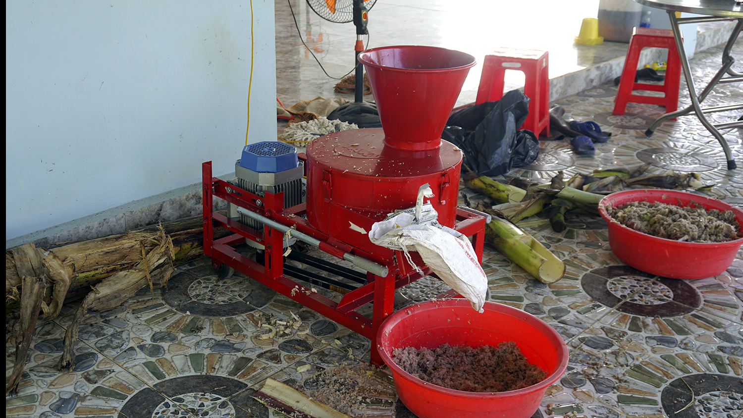 Giao máy băm chuối ở Tây Ninh cho khách 