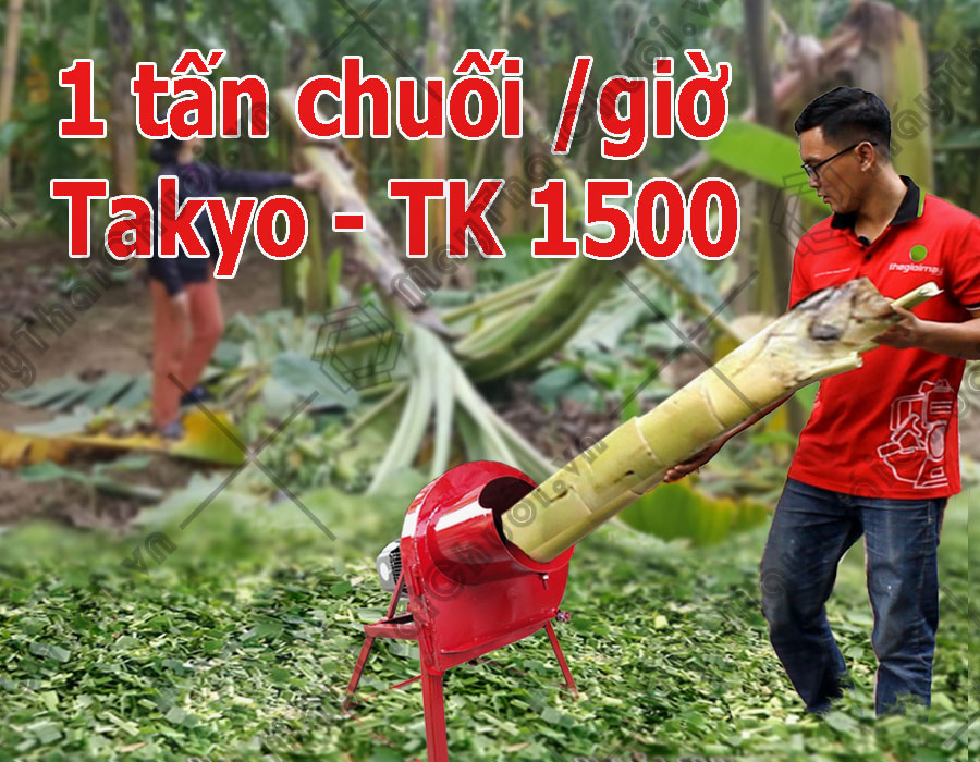 Máy xắt chuối Takyo TK 1500 đạt năng suất 1 tấn/giờ