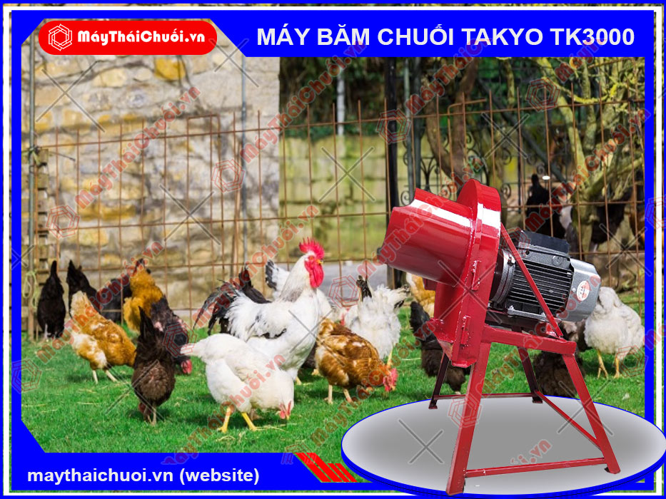 Máy băm chuối Takyo TK1500 cho gà