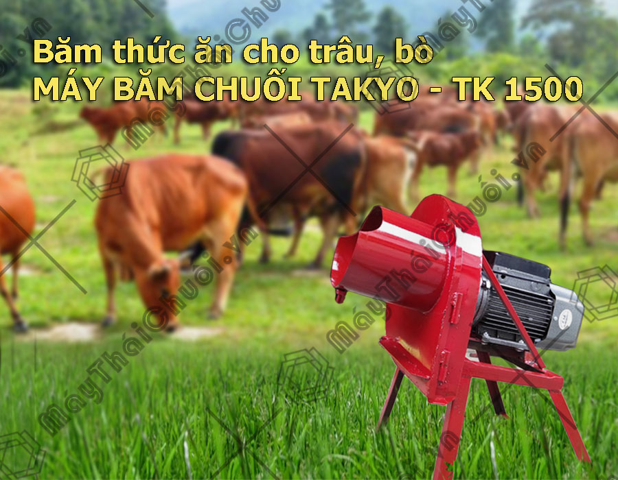 Máy băm chuối Takyo TK1500 chuyên dùng cho chăn nuôi trâu bò