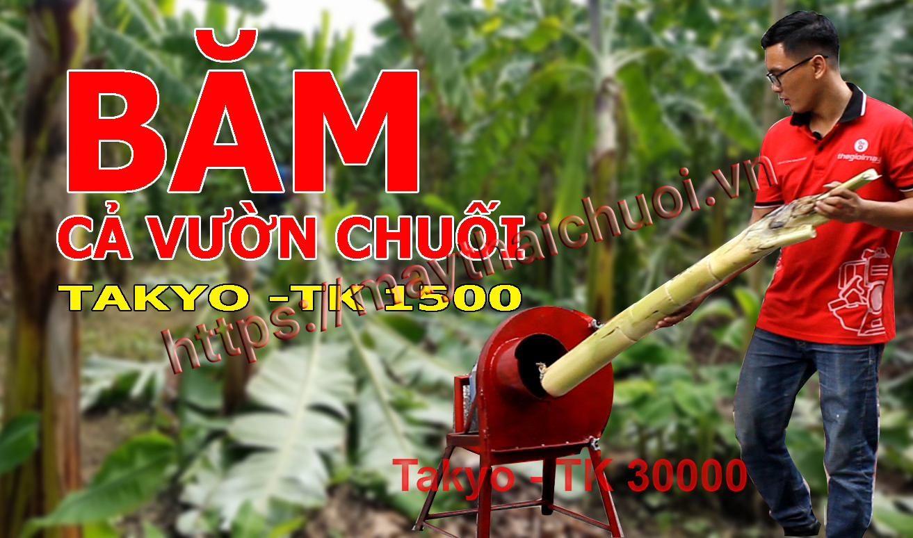 Công suất của máy Băm chuối chuyên dùng trong mô hình trang trại