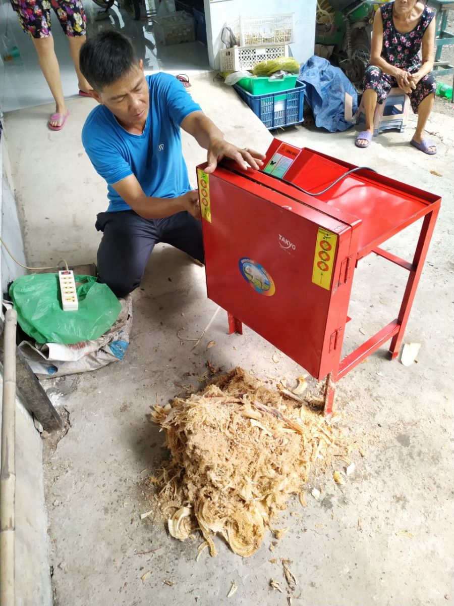 Ứng dụng cảu máy thái chuối vào việc chăn nuôi gia súc như dê, bò ở Vũng Tàu