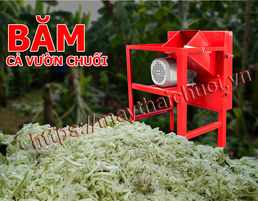 Công suất của máy băm chuối, thái chuối Takyo ở Kiên Giang