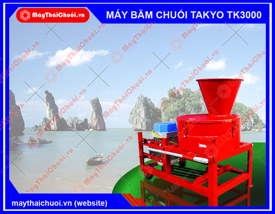 >Phân phối máy băm thái chuối đa năng Takyo TK3000 cho lợn tại Kiên Giang