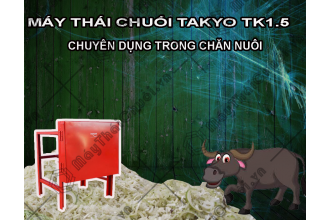 Bán máy thái chuối Takyo giá rẻ cho bò tại An Giang