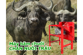 Cách nhận biết máy thái cỏ Takyo cho bò chính hãng Tại Cà Mau