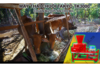 Phân phối chính hãng máy băm chuối Takyo ở Bình Dương